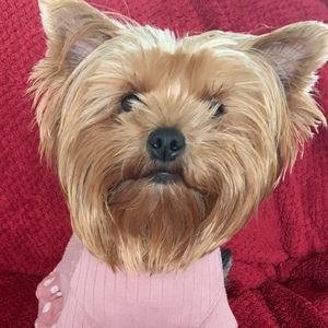 Meet your Posher, Olivia